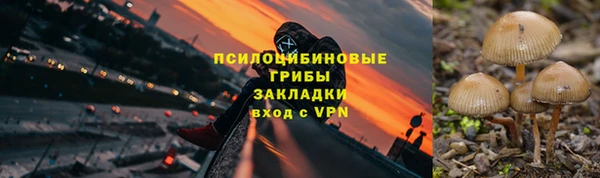 ГАЛЛЮЦИНОГЕННЫЕ ГРИБЫ Алексин