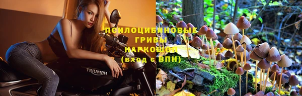гидропоника Алзамай